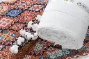 ANIK9910.webp